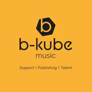 b kube music services zwart opgeel 100